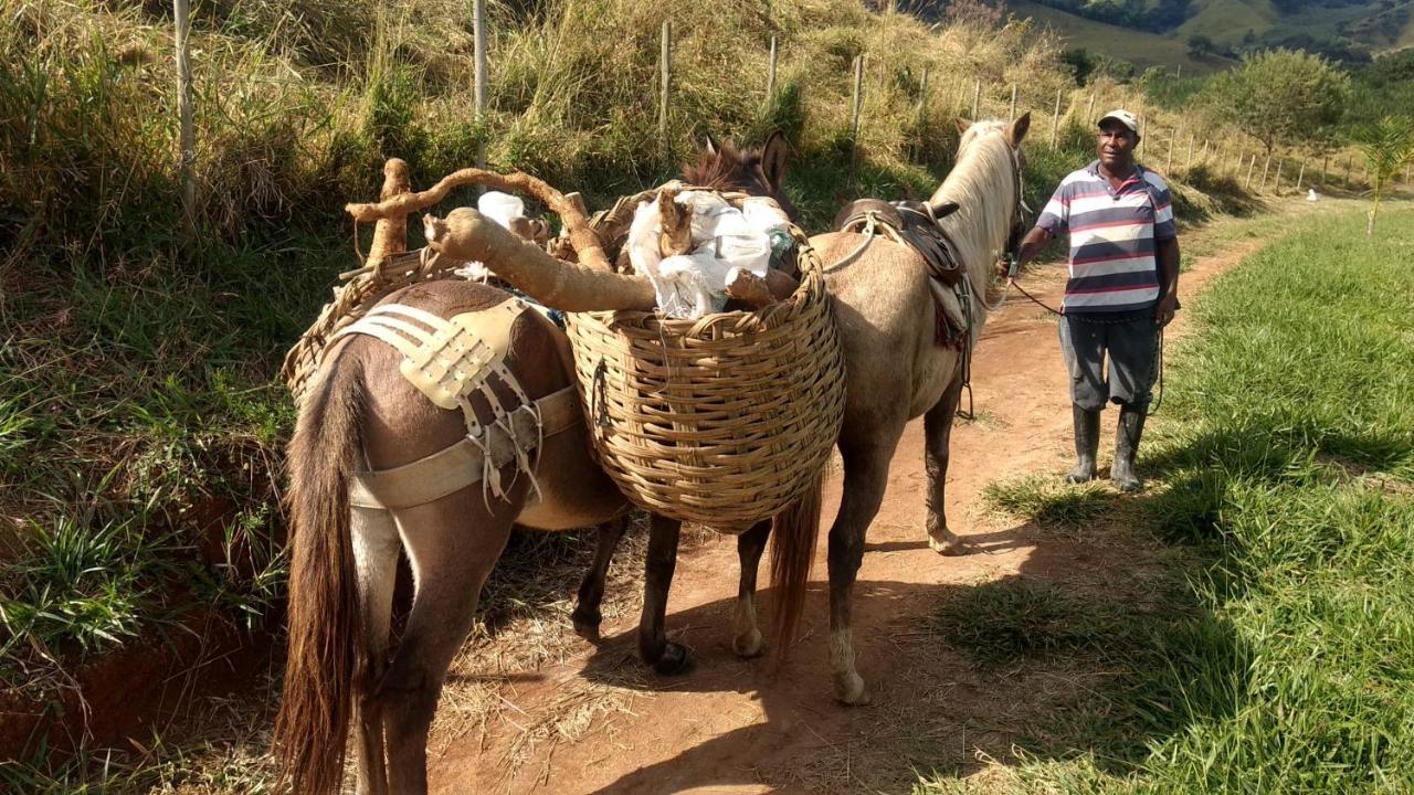 הוילה פואוזו אלטו Quinta Do Papagaio מראה חיצוני תמונה