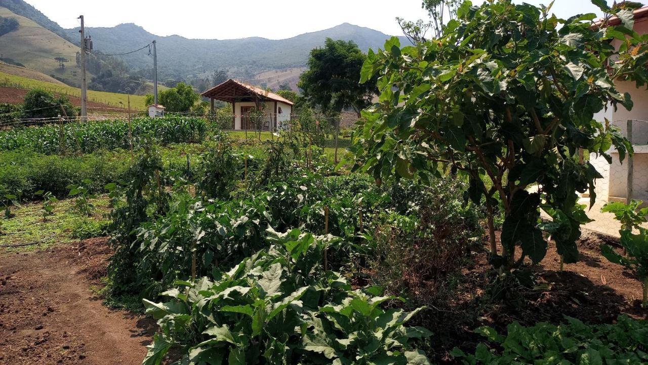 הוילה פואוזו אלטו Quinta Do Papagaio מראה חיצוני תמונה